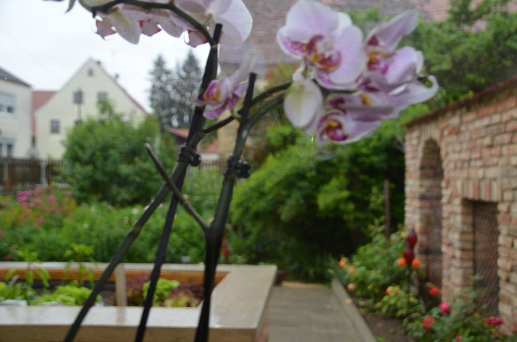 ลันด์โฮเทล ซุม อัดเลอร์ Hotel Oberbechingen ห้อง รูปภาพ