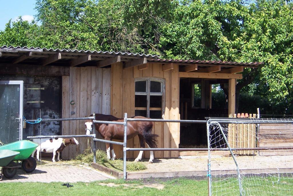 ลันด์โฮเทล ซุม อัดเลอร์ Hotel Oberbechingen ภายนอก รูปภาพ